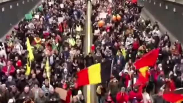 Belgium freedom March January