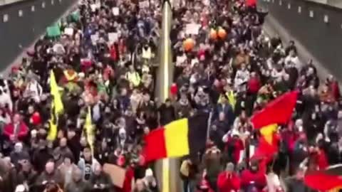Belgium freedom March January