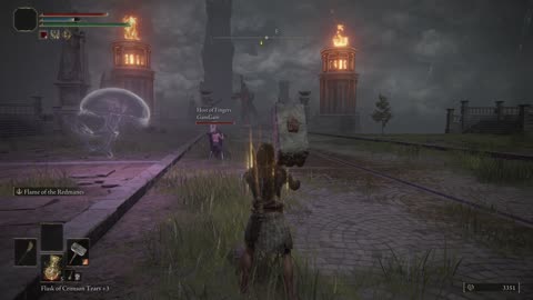 Elden Ring- you have no power here!