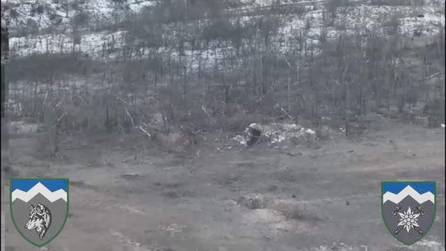 When the wolves of the 8th OGSHB defend their land, the dugout is not a guarantee of safety