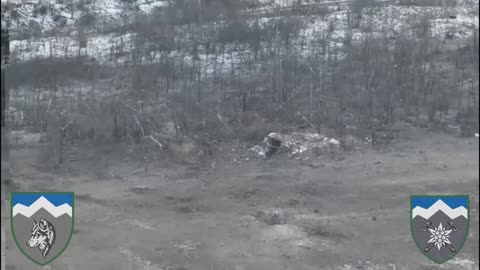 When the wolves of the 8th OGSHB defend their land, the dugout is not a guarantee of safety