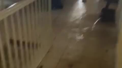 Brazil. Heavy Rain