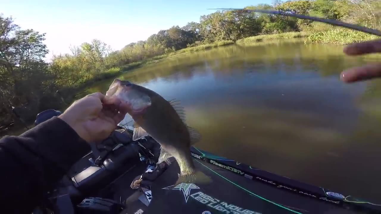 How to Catch MORE Bass (Perch Fishing Tips)