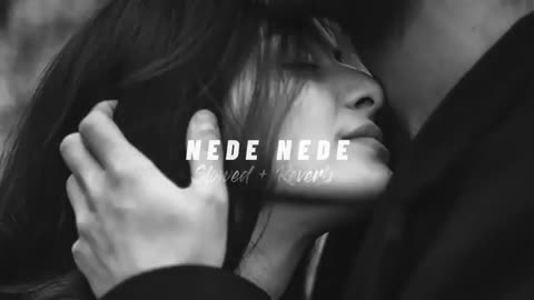 Nede nede song Alisha Chinoy ( slowed + reverb )