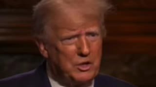 They have a Cabal that runs Government - DJT