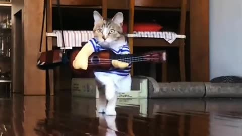 This cat is so funny holding a guitar