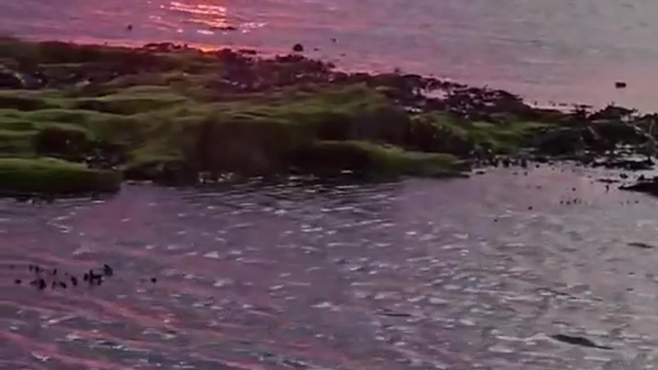 Beautiful Sun Set Ayr Beach Scotland