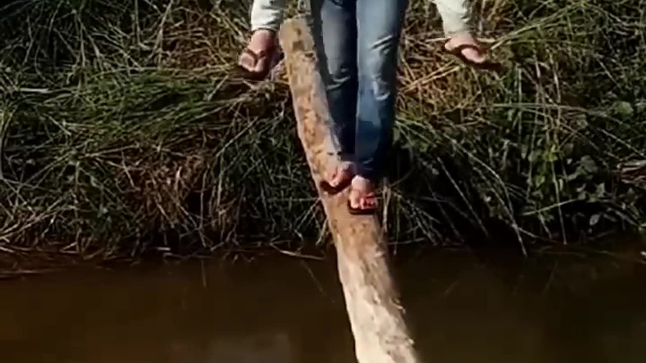 Best funyyy clip