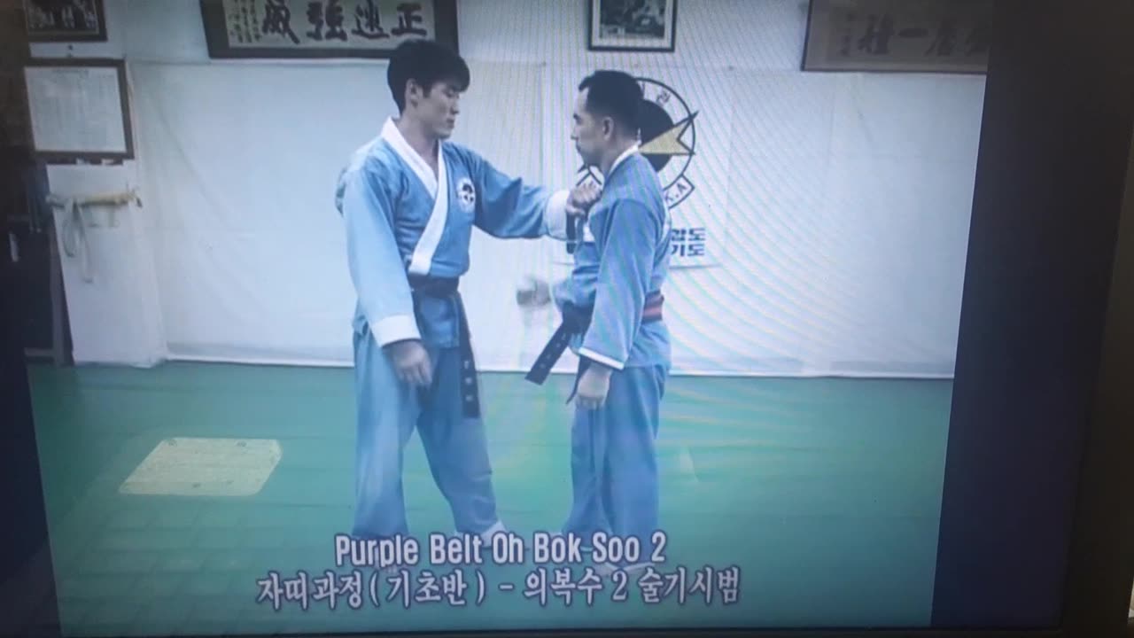 Authentic Hapkido
