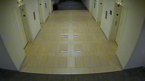 8438OHOB06MainElevatorLobby_2021-01-05_01h20min00s150ms.mp4