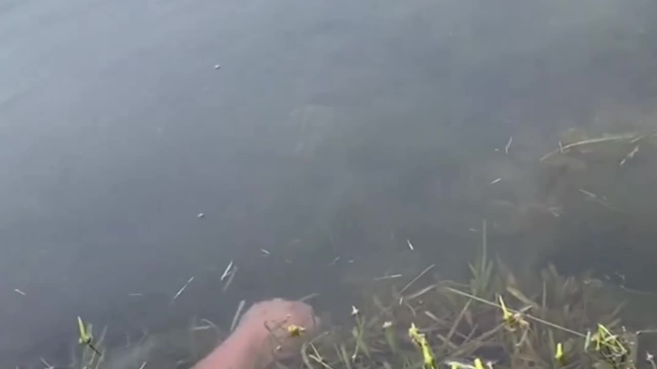 Pescar Só Com a Mão, Será ???