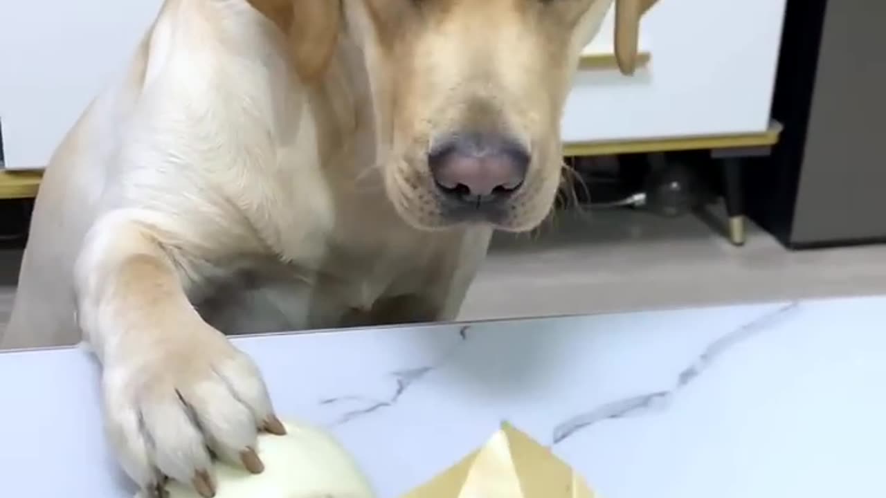 Mmmm π€π€ πΆπΆππ