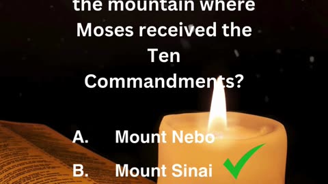 quiz videos 4
