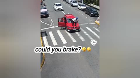 3-legged dog crosses the avenue through the lane driver has to stop