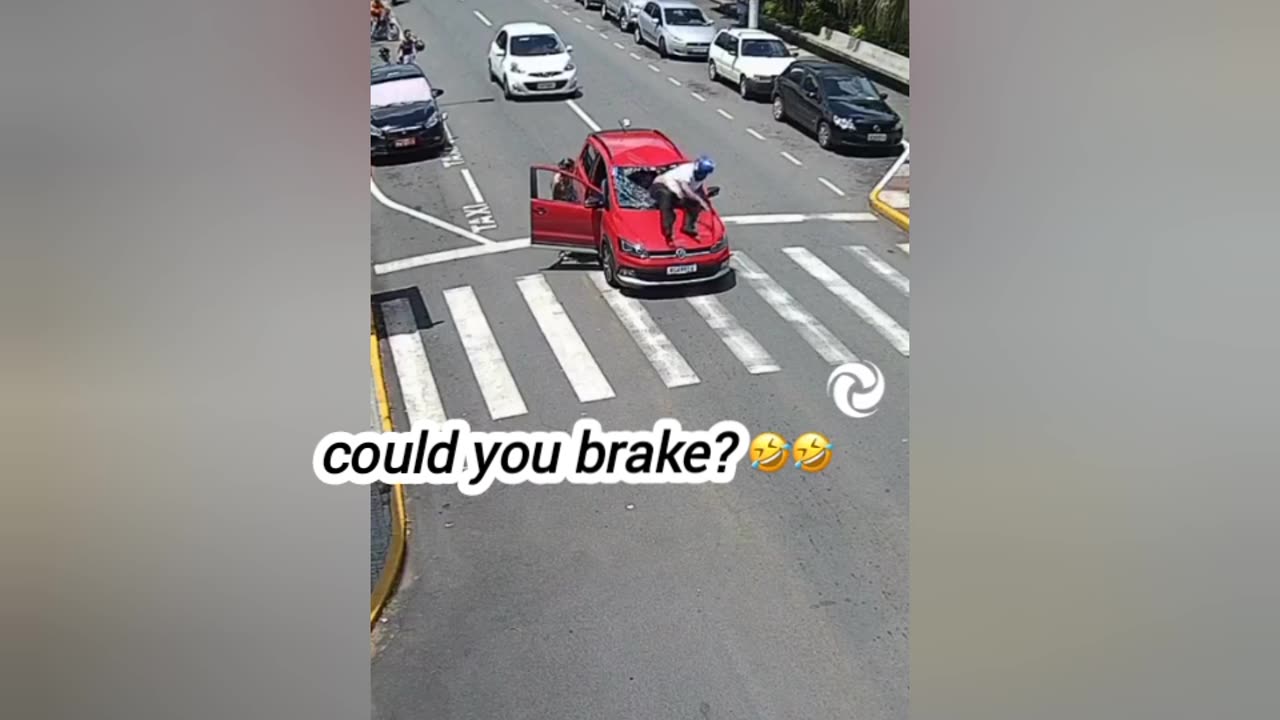 3-legged dog crosses the avenue through the lane driver has to stop