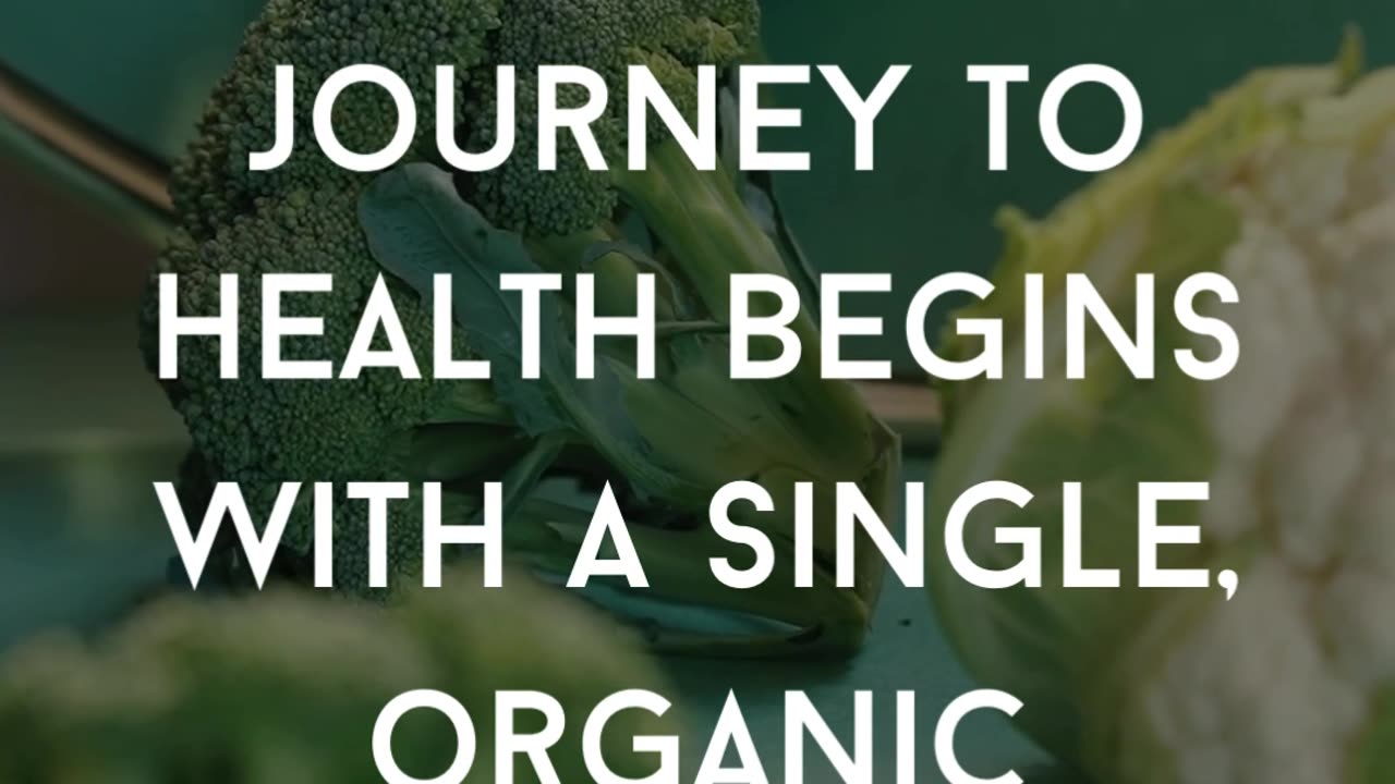 Food and Thought: Where your journey to health begins with a single, organic choice 🍏