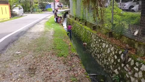 Menangkap Belut di Longkang Selayang Kuala Lumpur Malaysia (Budak Bandar yang suka Adventure)