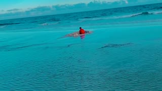 Family Finds Dad Relaxing in a Hole at the Beach