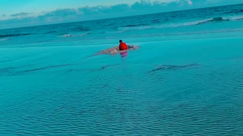 Family Finds Dad Relaxing in a Hole at the Beach