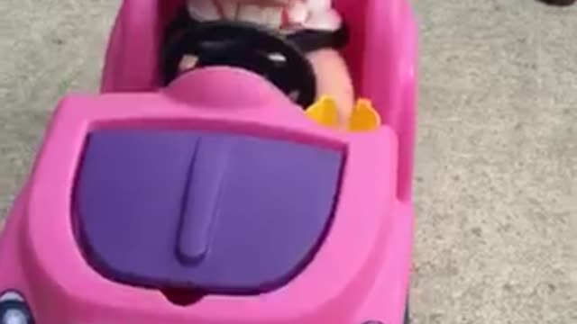8 month old Harper White cruising to the beat !!!