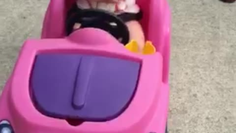 8 month old Harper White cruising to the beat !!!