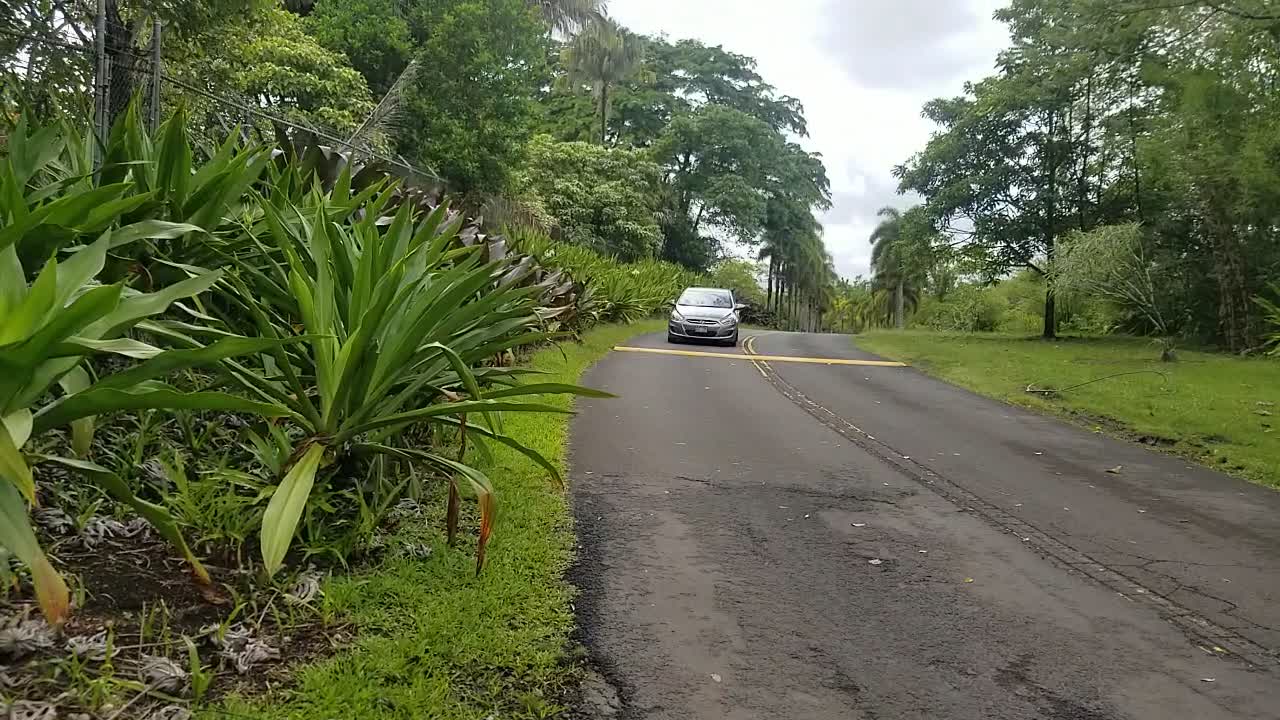 STAY FOCUSED ON THE LORD