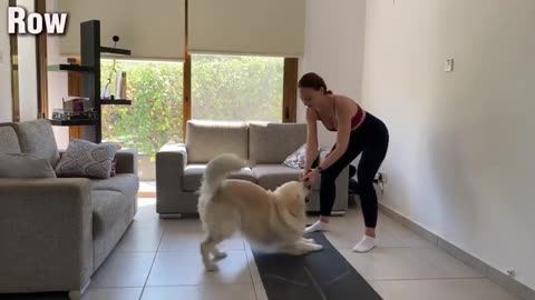 Yoga Fun with Pet Dog