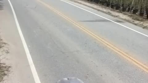 Thursday, Apr 20, 2023, 2:55pm (finish), Derek Kube. COCOA UP = JESUS = MESSIAH = THE KING.