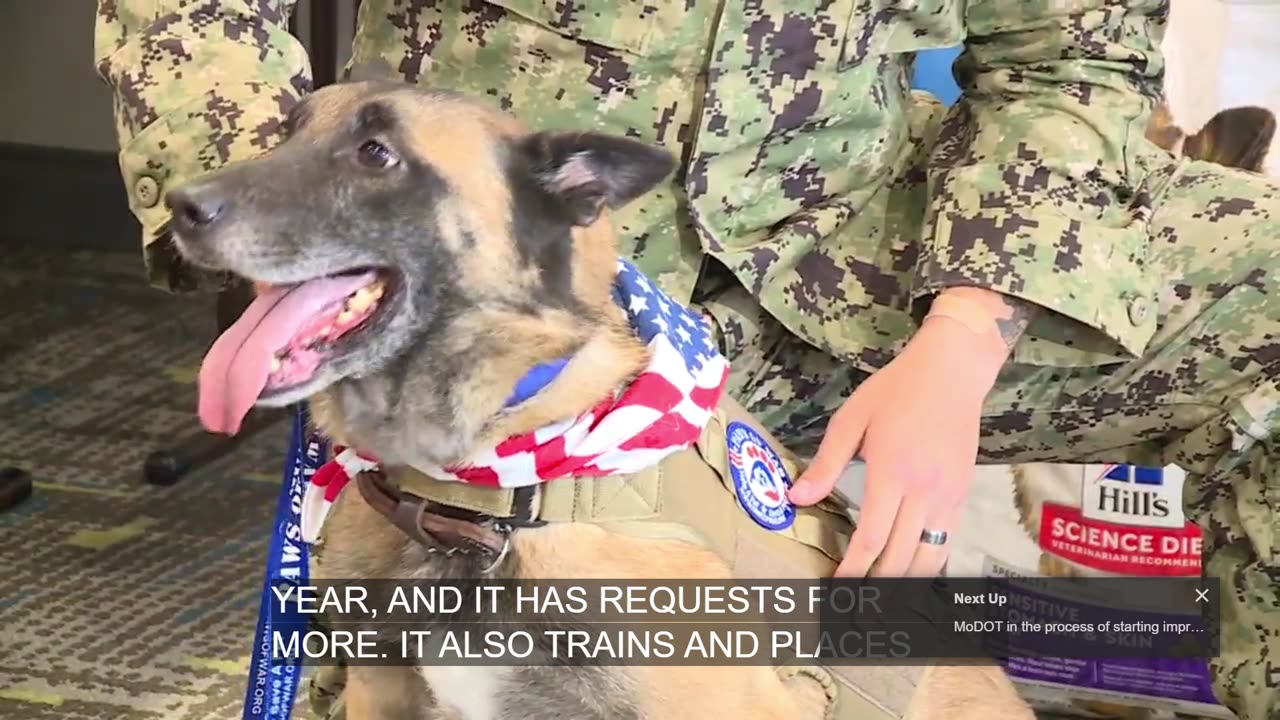 Retired military dog, handler reunited at last -- and for good