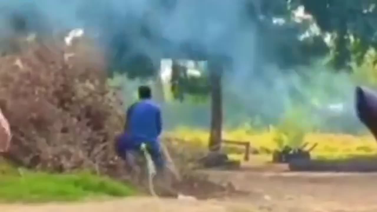 Funny videos