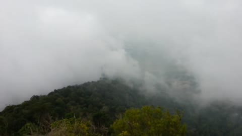 The scenery of a hill in Malaysia