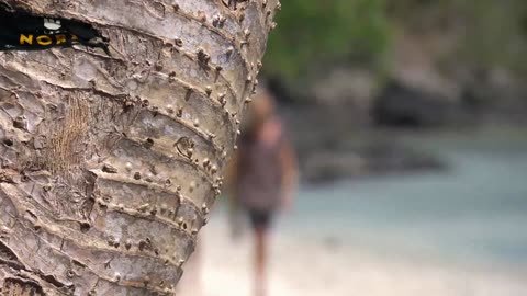 Robinson S18E17