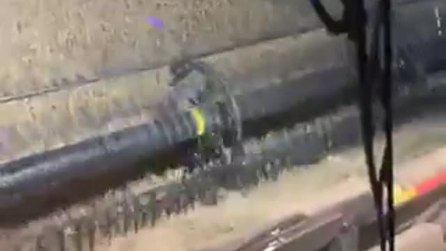 Harvesting Wheat - In Cab