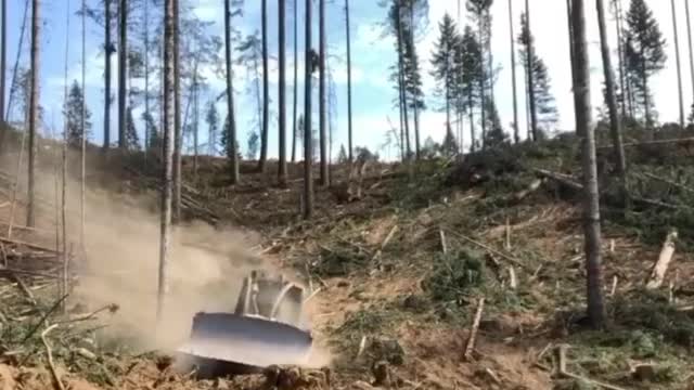 WOW what is going on here 🤣