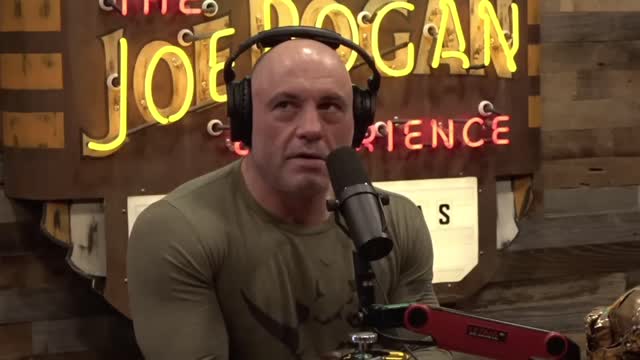 Joe Rogan: Jordan Peterson Was RIGHT About WOKE Insanity!! He Saw This Coming From Miles Away!