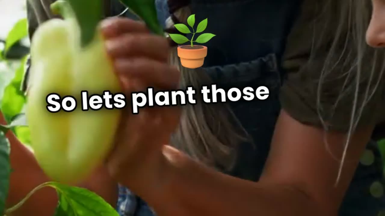 Planting trees