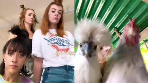Dance with Hen