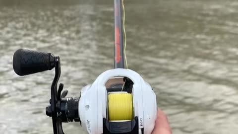 RATE THIS CAST! (KASTKING CRIXUS BAITCAST REEL) #shorts-no