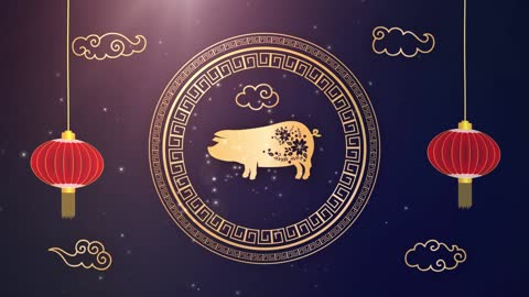 The Chinese new year 2021 Zodiac sign - Year of the pig background