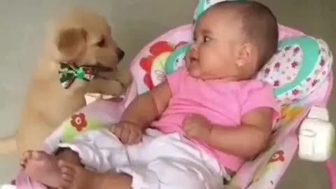 Cute dog with its little master