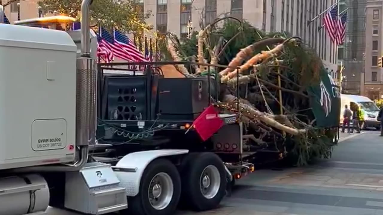 The Christmas Tree has arrived at Rockefeller Center in New York City!