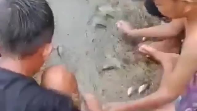 This is a beautiful and charming water-dwelling species