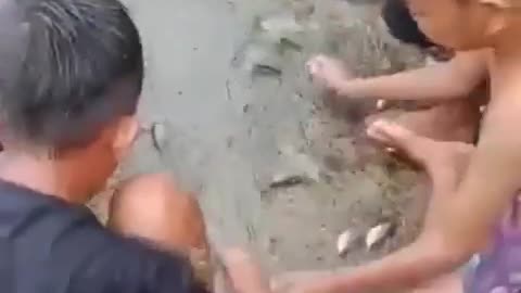 This is a beautiful and charming water-dwelling species