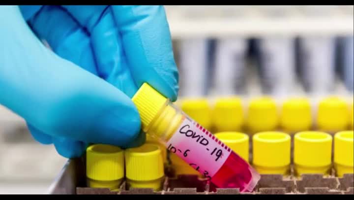 Mass Formation Color Programming [Hugo Talks]**