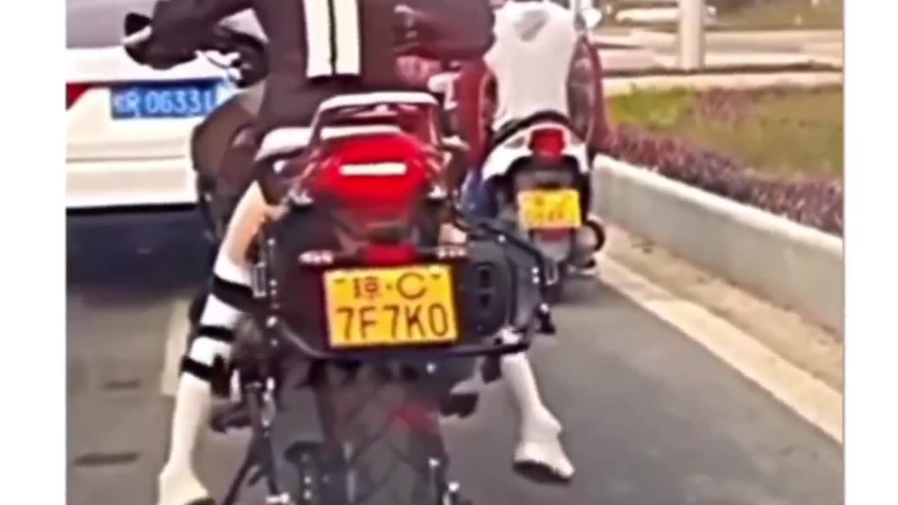 Short people funny bike video