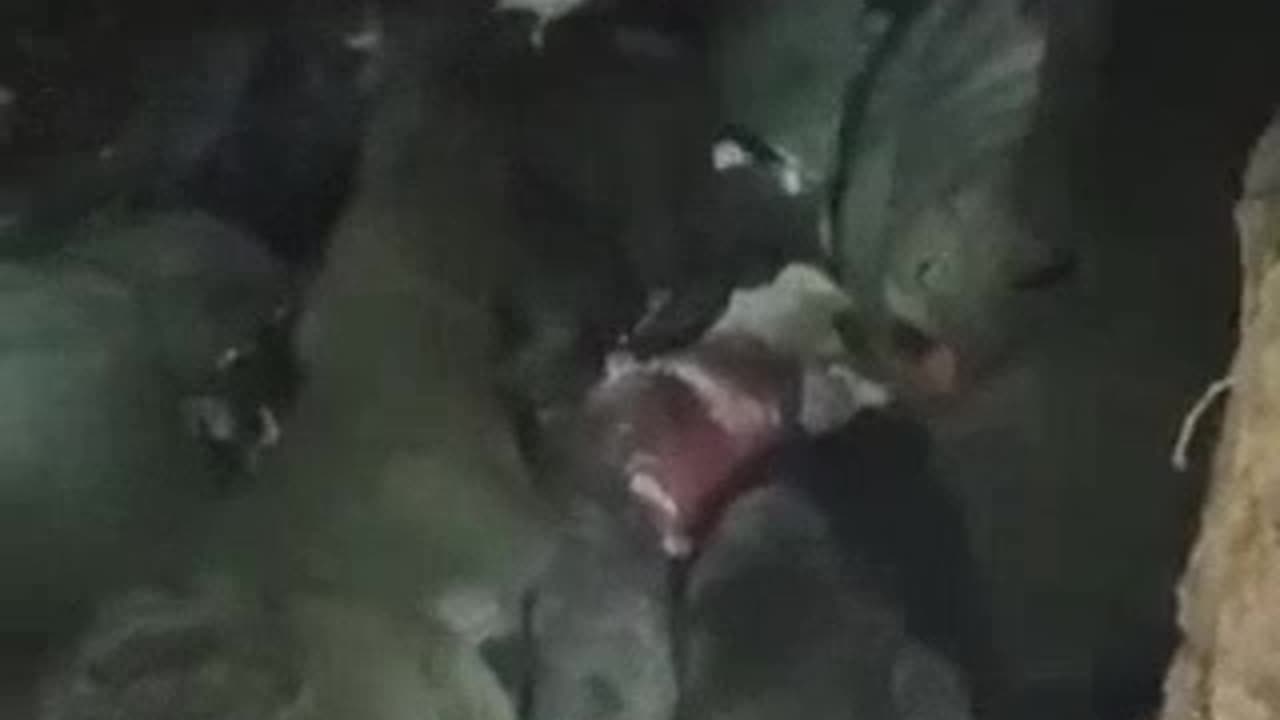 Hole of Russians