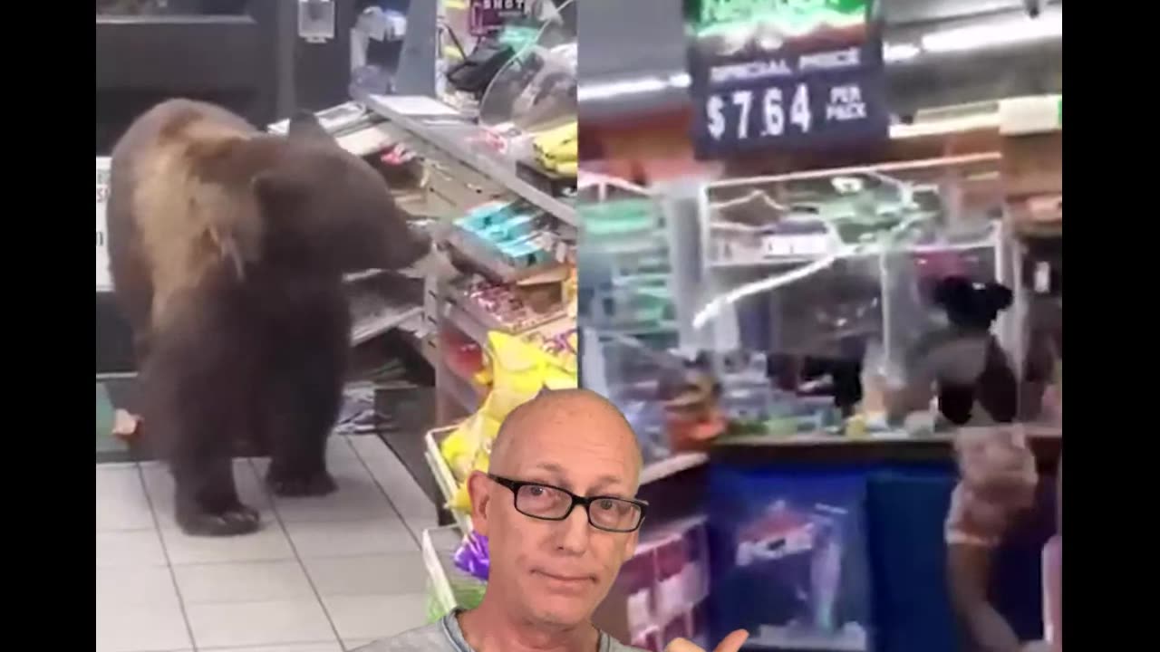 Wild Live