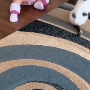 Baby vs Kitten #shorts