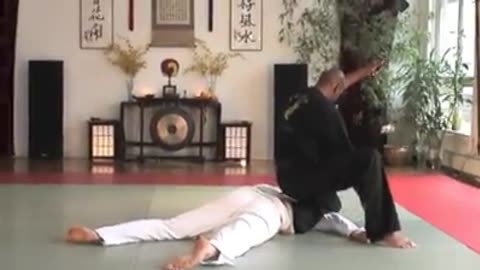 World Martial Arts Center Brooklyn N.Y.