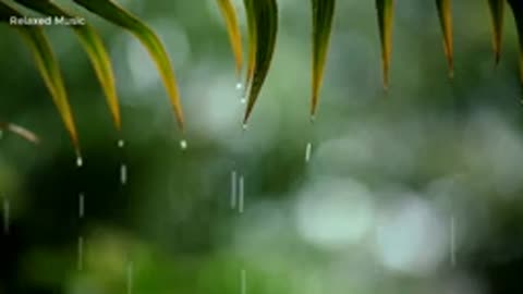 Batti lo stress in 5 minuti per dormire bene con forti Piogge sul tetto nella foresta di notte🔴